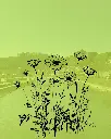 The Awakening of Nature - Bouillon 6p