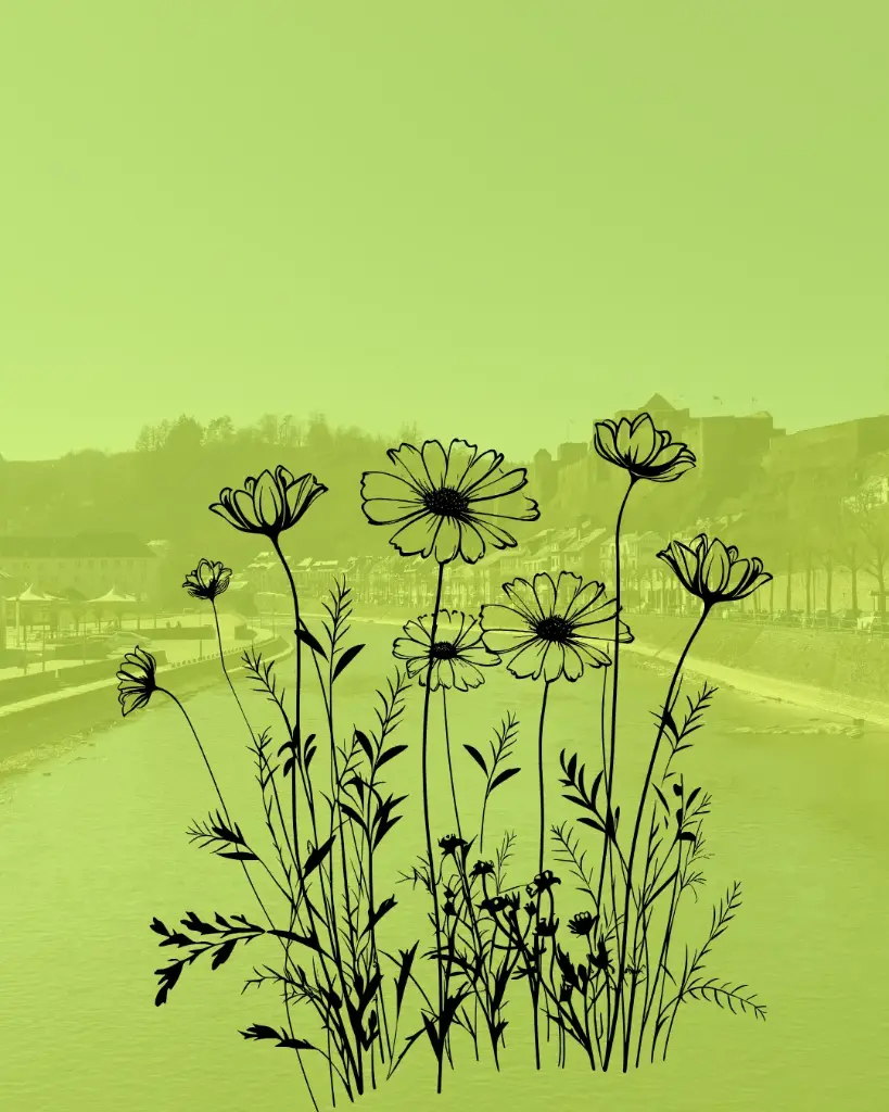 Printemps -L'Eveil de La Nature - Bouillon 6p