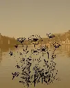 L'Eveil de La Nature - Dinant 4p