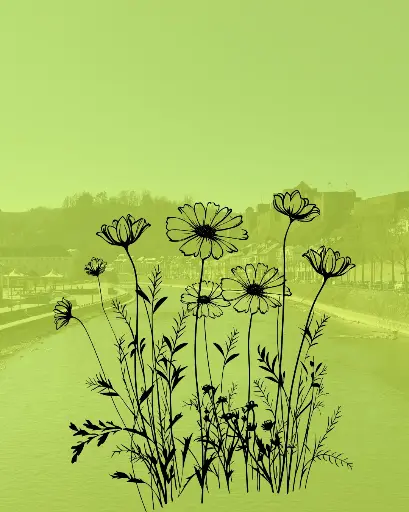 The Awakening of Nature - Bouillon 6p