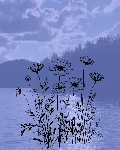 L'Eveil de La Nature - Limbourg 8p